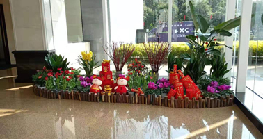 多場景專業(yè)綠植租賃