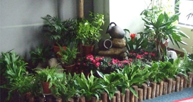 國際質量體系認證