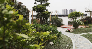 現場參觀花園實景